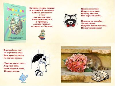 Экология в стране енотов