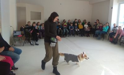 Дог, бульдог и спаниель приглашают всех друзей