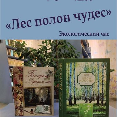 Лес полон чудес 