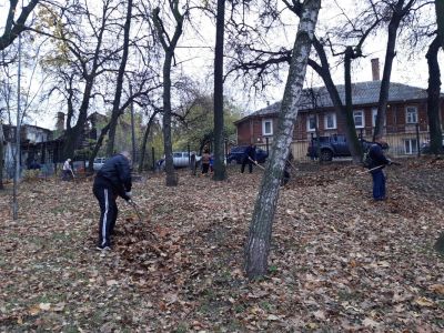 Библиотекари приняли участие в общегородском субботнике