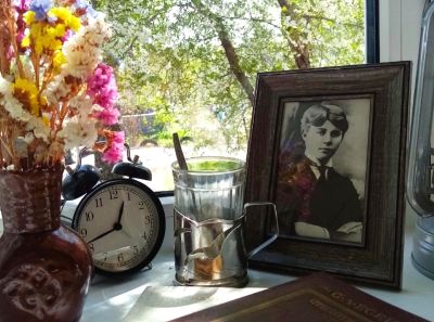 Путешествие на родину С. А. Есенина