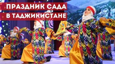 Навстречу весне