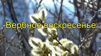 Поздравляем с Вербным воскресеньем!