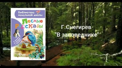 В заповеднике