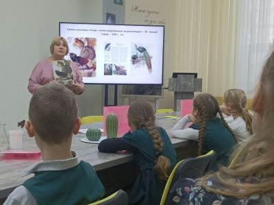 Страна Познавалия