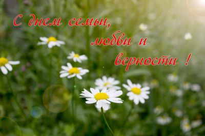 Ромашка на счастье