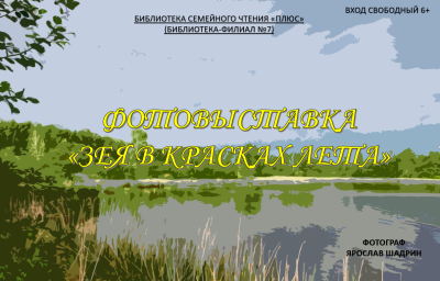 Зея в красках лета