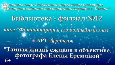 Из жизни ёжиков