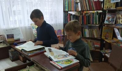 День новых поступлений