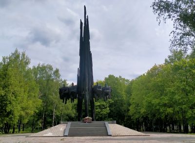Шли солдаты — братья по оружию