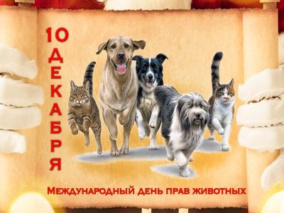 О тех, кто рядом с нами