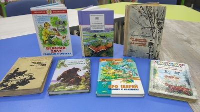 Книга под солнцем