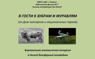 В гости к зубрам и журавлям