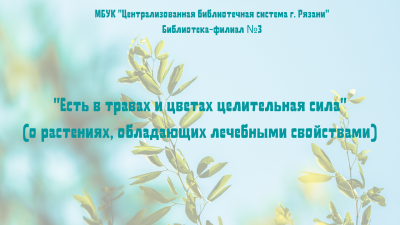 Аптека в лесу