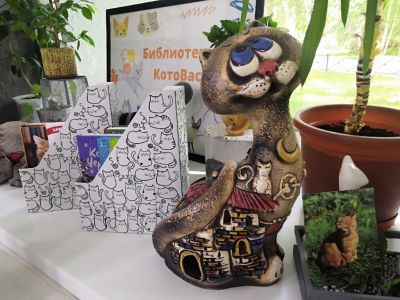 КотоВасия!
