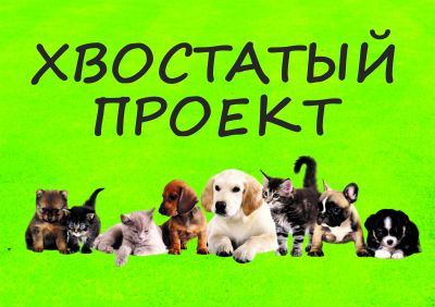 Хвостатый проект